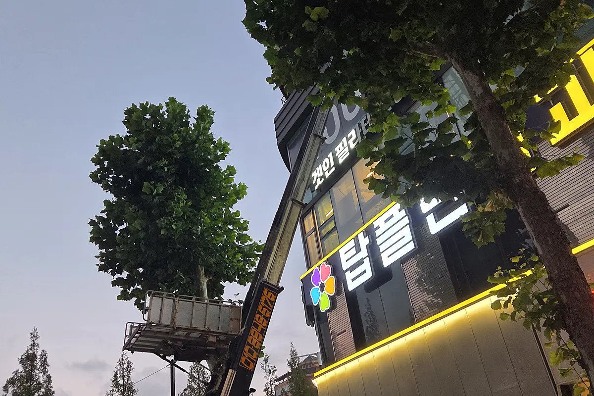 인천 동구 공사 폐기물 가격 현장 사진 5
