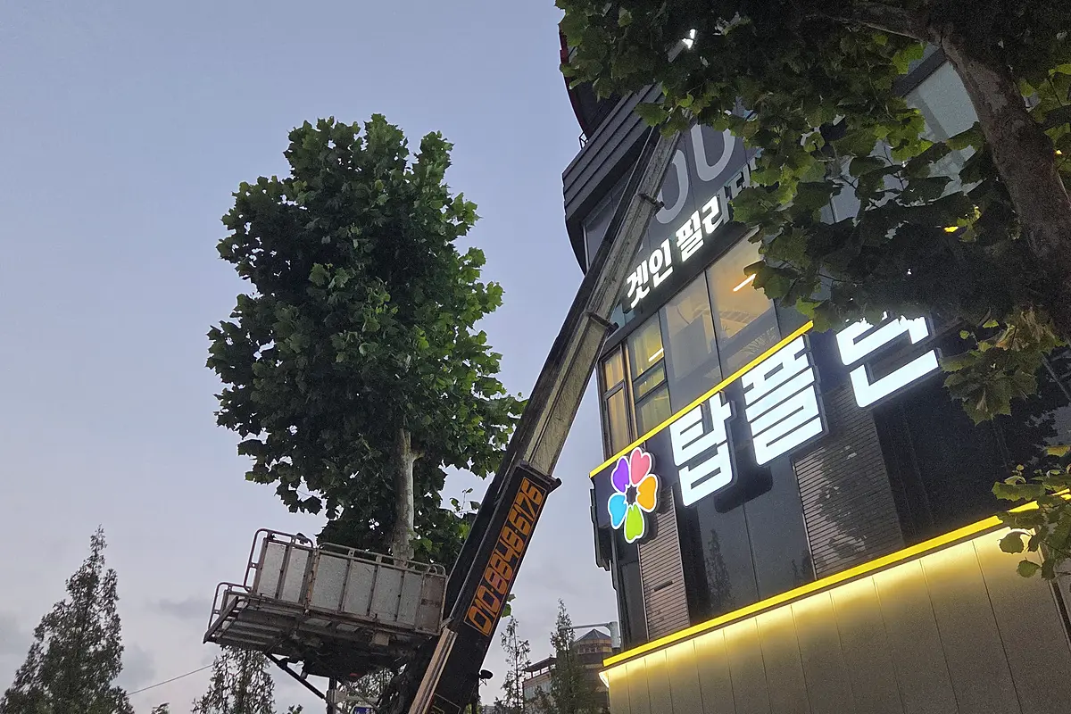 노원구 대형폐기물 현장 사진 5